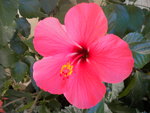 DSCN2677.JPG