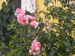 DSCN2664.JPG