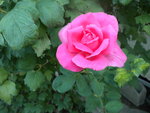 DSCN2500.JPG