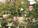 DSCN2645.JPG