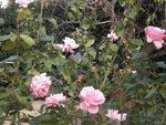 DSCN2646.JPG