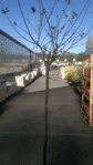 13102011053 2.gif