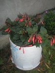 Photo 005.jpg