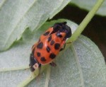 DSCF1558.JPG