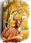 090926075200290730[1].gif