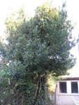 P1010026_1.JPG