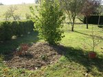 jardin 001 (Copier).jpg