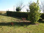 jardin 002 (Copier).jpg