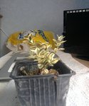 Cliquer sur l'image pour l'agrandir.