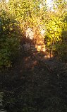 FRICHE11.jpg