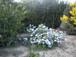 DSCN2488.JPG