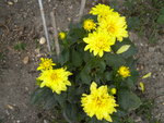 DSCN2567.JPG