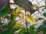 Photo0126.jpg