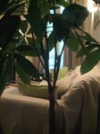 2011-10-24 18.24.02-BD.jpg