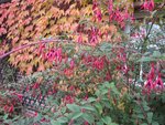 2011-10-27 3x.jpg