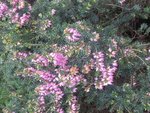 2011-10-27 5x.jpg