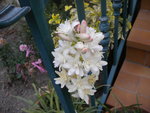 DSCN2686.JPG