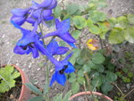 DSCN2687.JPG