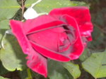 DSCN2693.JPG