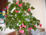 DSCN2694.JPG