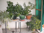 DSCN2695.JPG