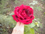 DSCN2699.JPG
