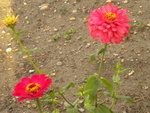 DSCN2710.JPG