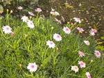 DSCN2701.JPG