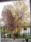 100_2292.JPG