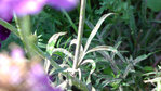 09-23-2011_142523a.jpg
