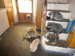 DSC00824.JPG