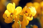 IMG_3990CorRed.jpg