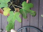 20111021_072554.jpg