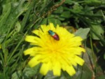 et une avec de jolies couleurs