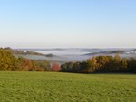 Paturage et brouillard.jpg