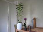 IMG_0113.JPG