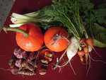 DSCN3619.JPG