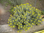 DSCN2708.JPG