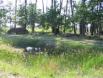 IMG_2733.JPG