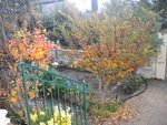 DSCN2722.JPG