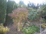 DSCN2724.JPG