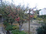 DSCN2726.JPG