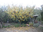 DSCN2727.JPG