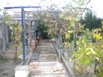 DSCN2728.JPG