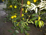 DSCN2729.JPG