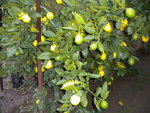DSCN2730.JPG