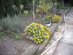DSCN2725.JPG