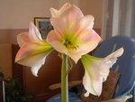 DSCN2721.JPG