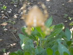 DSCN2718.JPG