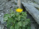 DSC02000.JPG